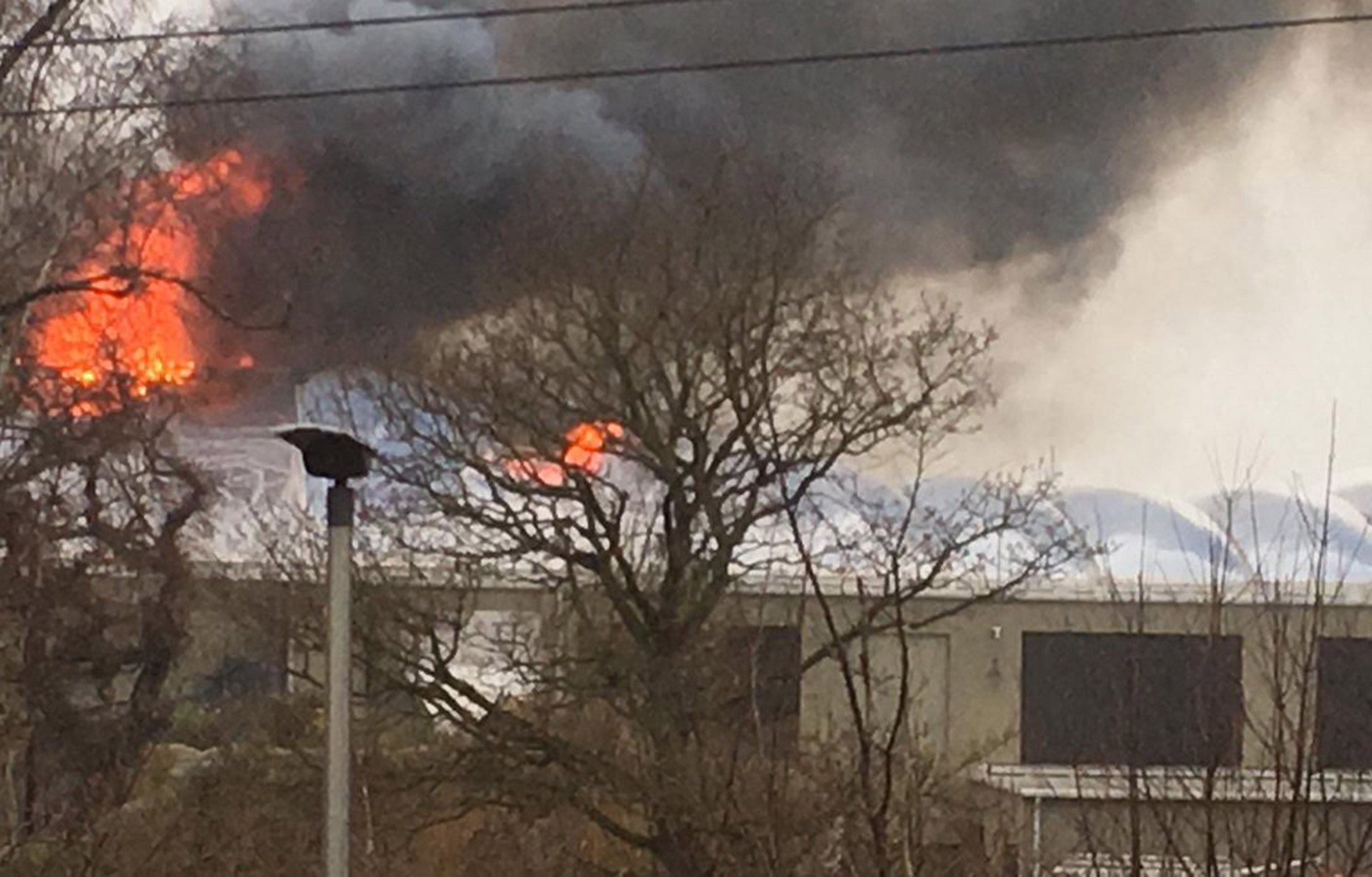 'Heartbroken' Chester Zoo confirm that animals were killed in devastating fire 'Heartbroken' Chester Zoo confirm that animals were killed in devastating fire