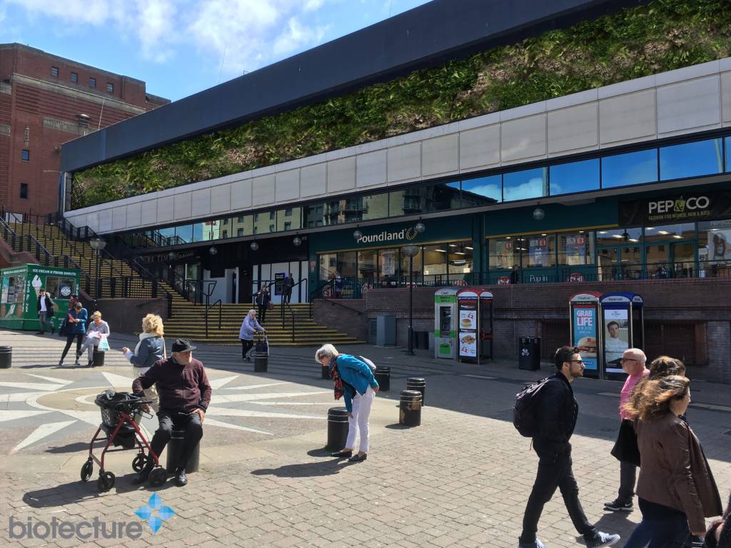 1 Hr Photo >> Biotecture St John S Liverpool Living Wall Visual 1 Hr 1 Hr Photo >> Biotecture St John S Liverpool Living Wall Visual 1 Hr